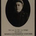 dijk.van.m.c 1869-1928 bont.de.j.p a