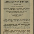 dongen.van.a 1866-1939 saris.c a