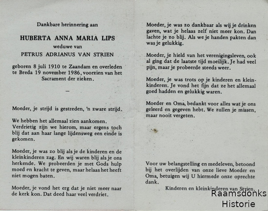 lips.h.a.m 1910-1986 strien.van.p.a b