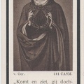 langerwerf.b.t 1867-1941 plas.van.der.p a