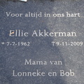 akkerman.ellie. 1962-2009 g.