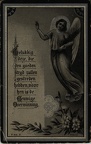 jong.de.p 1866-1913 plas.van.der.c ab