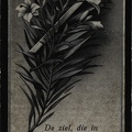 put.van.der.a.m 1867-1931 b