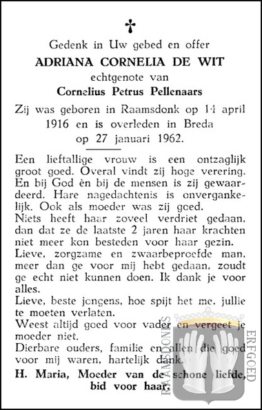 wit.de.a.c 1916-1962 pellenaars.c.p b