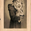 H. Antonius van Padua