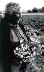 delpopolo.maria.m. 1920-1983 heijmans.l. a.