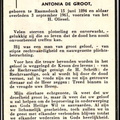 kemmeren.henricus. 1894-1961 groot.de.antonia. b