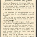 Adrianus Adriaansen Johanna Adriana de Jong