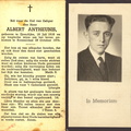 Albert Antheunis