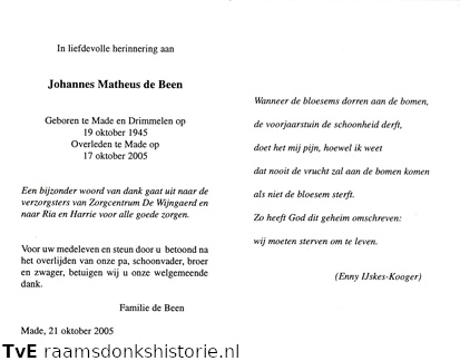 Johannes Matheus de Been