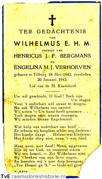 Wilhelmus E.H.M. Bergmans