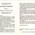 Johanna Biemans Marinus Adrianus Blom