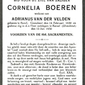 Cornelia Boeren Adrianus van der Velden