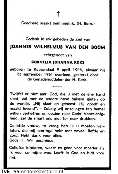 Joannes Wilhelmus van den Boom Cornelia Johanna Roks