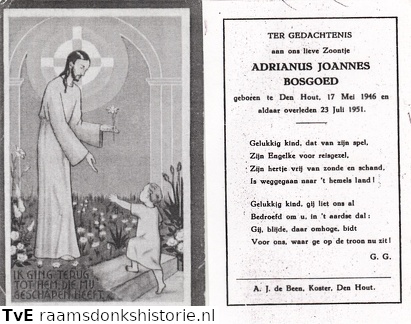 Adrianus Joannes Bosgoed