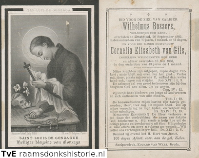 Wilhelmus Bossers Cornelia Elisabeth van Gils