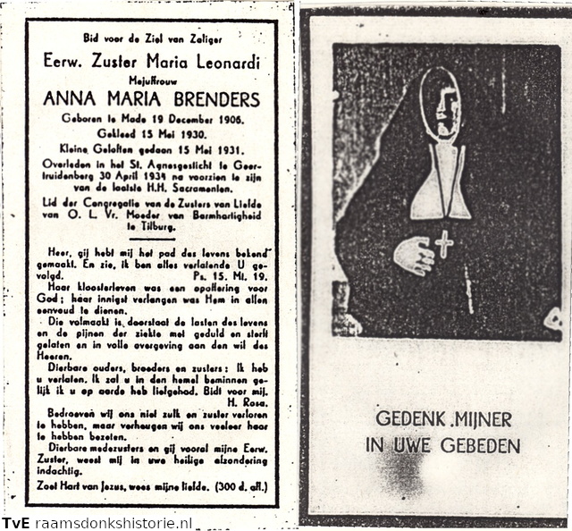 Anna Brenders non