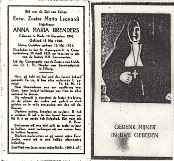 Anna Brenders non