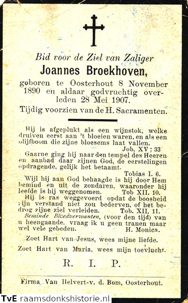 Joannes Broekhoven