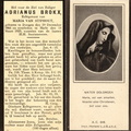 Adrianus Brokx Maria van Stiphout