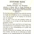Antonie Buys Jacoba Cornelia van Groesen