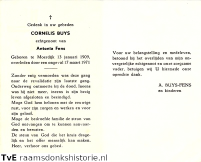 Cornelis Buys Antonia Fens