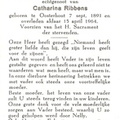 Cornelis Adrianus Caron Catharina Ribbens