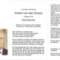 Antoon van den Corput Toos Romme