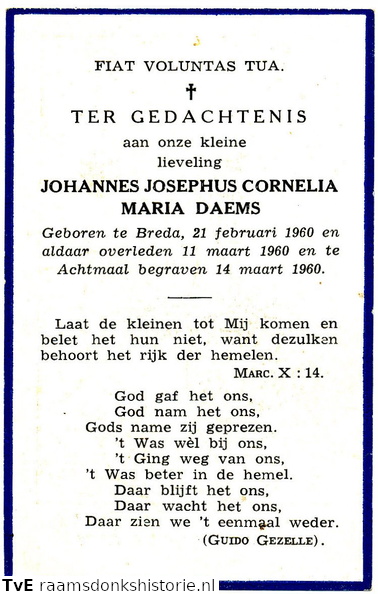 Johannes Josephus Cornelia Maria Daems