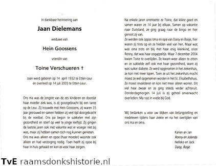 Jaan Dielemans (vr) Toine Verschuren Hein Goossens