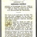 Wilhelmus Dijkers-Adriana Hamels