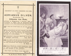 Adrianus Dilven Johanna van Ham