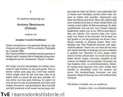 Antonia Dingemans Josephus Cornelis Schellekens