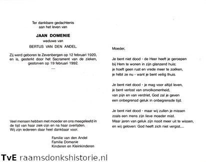 Jaan Domenie Bertus van den Andel
