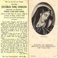 Jacobus van Dongen- Maria van der Made