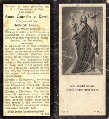 Anna Cornelia van Dorst Hendrik Loose