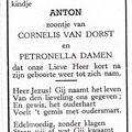 Anton van Dorst