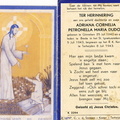 Adriana Cornelia Petronella Maria Dudok