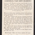 Cornelia van den Elshout