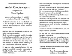 André Grootswagers Trees IJpelaar