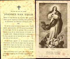 Joannes van Gulik