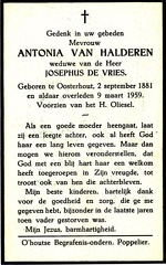 Antonia van Halderen Josephus de Vries
