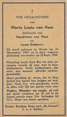 Maria Lucia van Ham