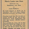 Maria Lucia van Ham