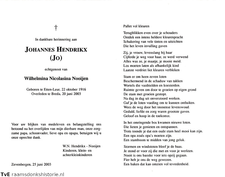 Johannes Hendrikx Wilhelmina Nicolasina Nooijen
