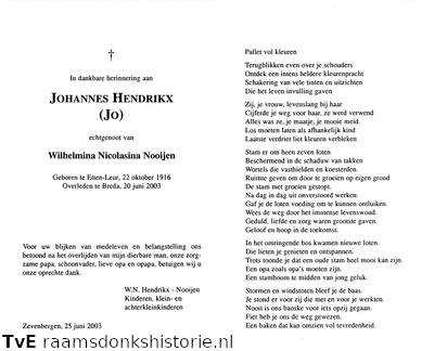 Johannes Hendrikx Wilhelmina Nicolasina Nooijen