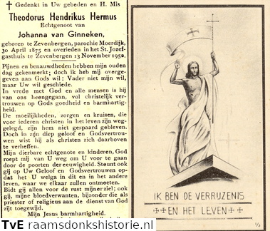 Theodorus Hendrikus Hermus Johanna van Ginneke