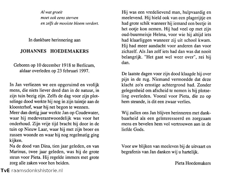 Johannes Hoedemakers, 