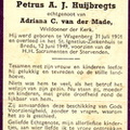 Petrus A J Huijbregts Adriana C van der Made