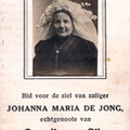 Johanna Maria de Jong Cornelis van Gils